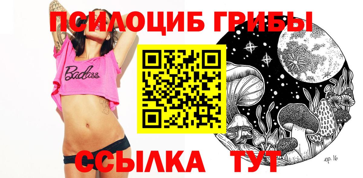 Сальск  Галлюциногенные грибы MAGIC MUSHROOMS  магазин продажи наркотиков  Вход с VPN 