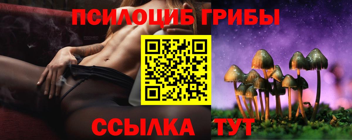 Галлюциногенные грибы Cubensis Сальск